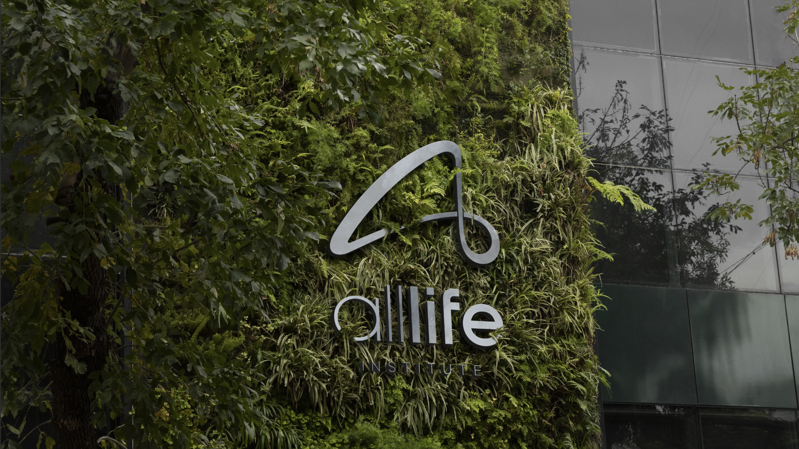 Site institucional para instituto de saúde – All Life.